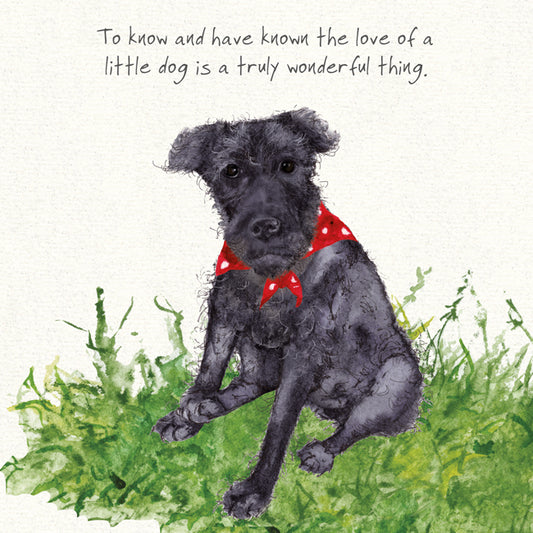 Patterdale Terrier Greeting Card