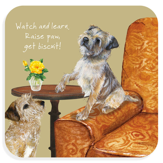 Border Terriers Coaster | Raise Paw