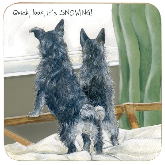 Terrier coaster Snow day