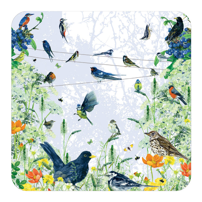 Great British Birds Coaster