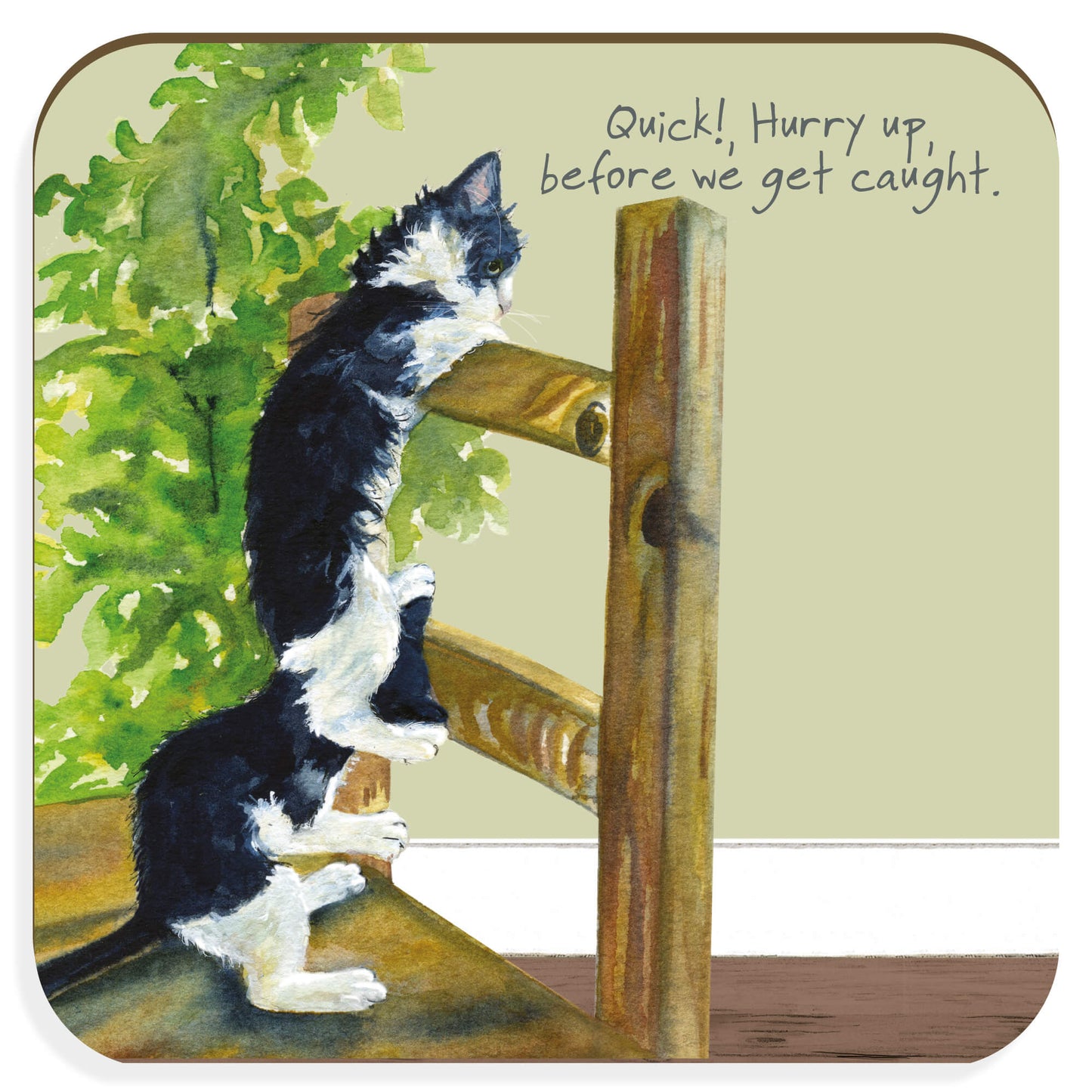 Little Dog Laughed - Kittens Coaster