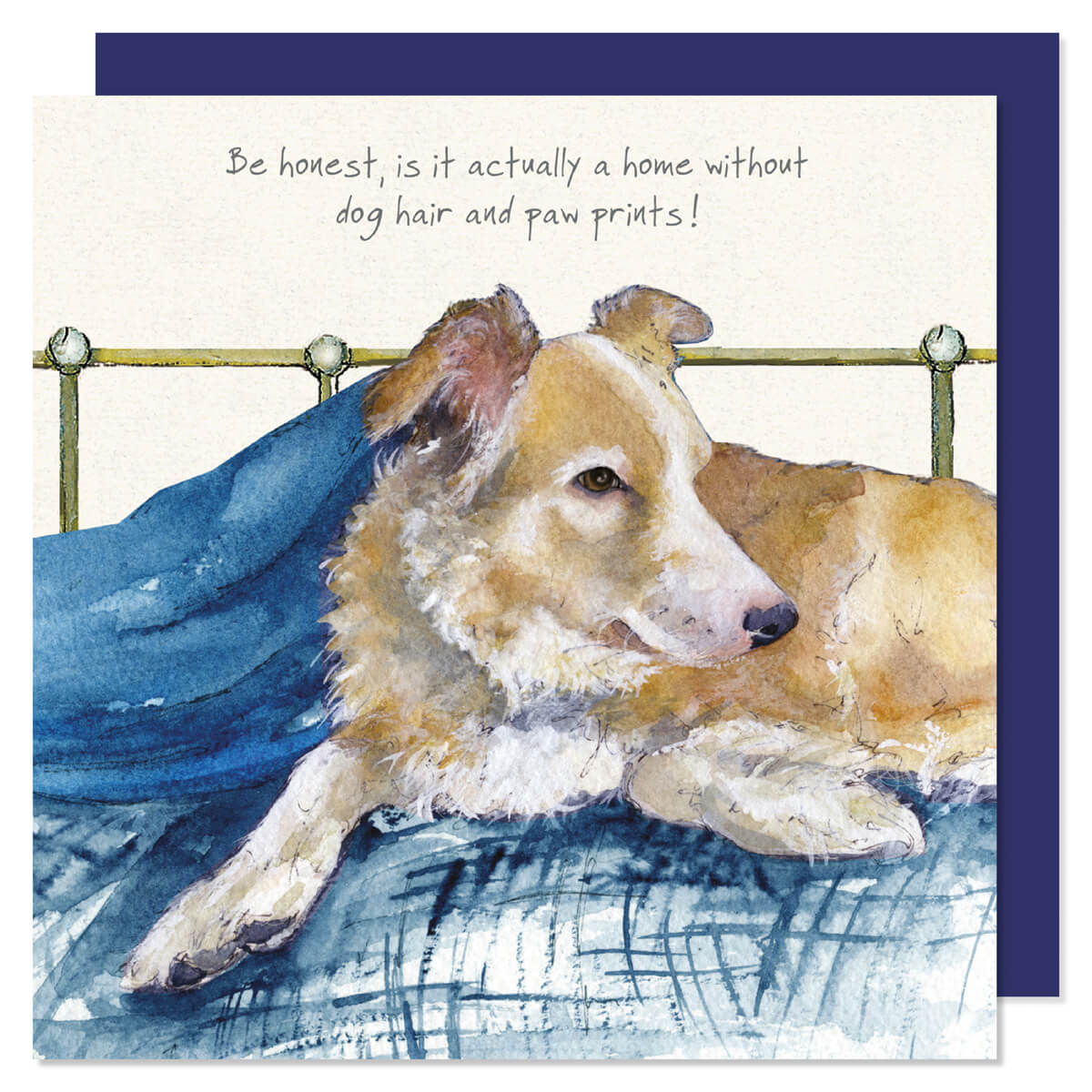 Red and White Border Collie Greeting Card