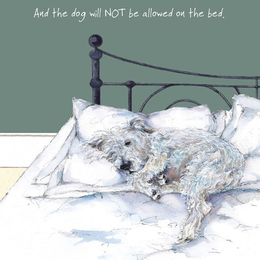 Rough Coated Jack Russell Greeting Card - Not Bed