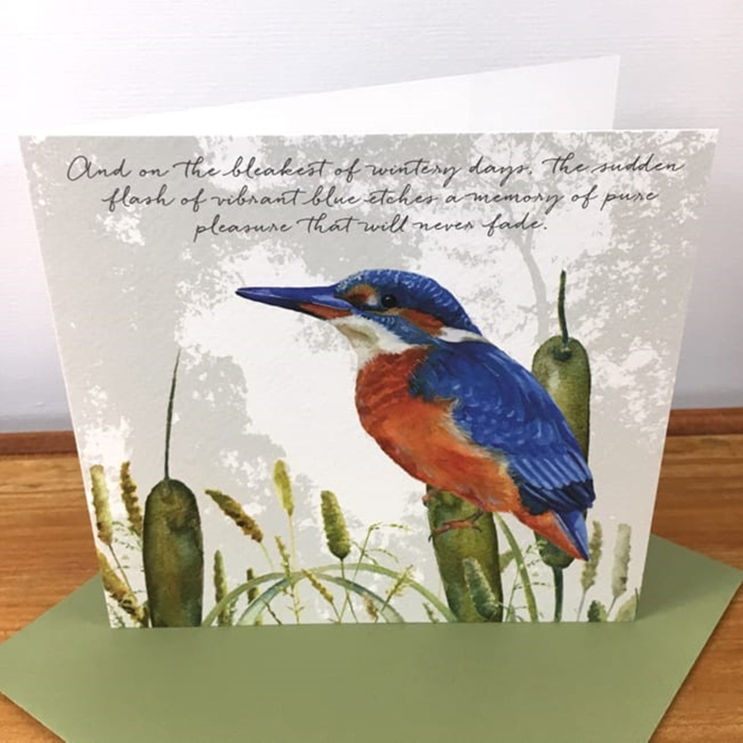 Kingfisher Greeting Card