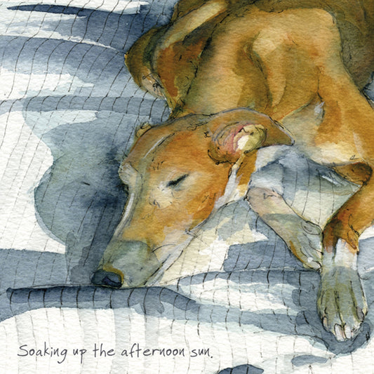Greyhound Greeting Card - Afternoon Sun