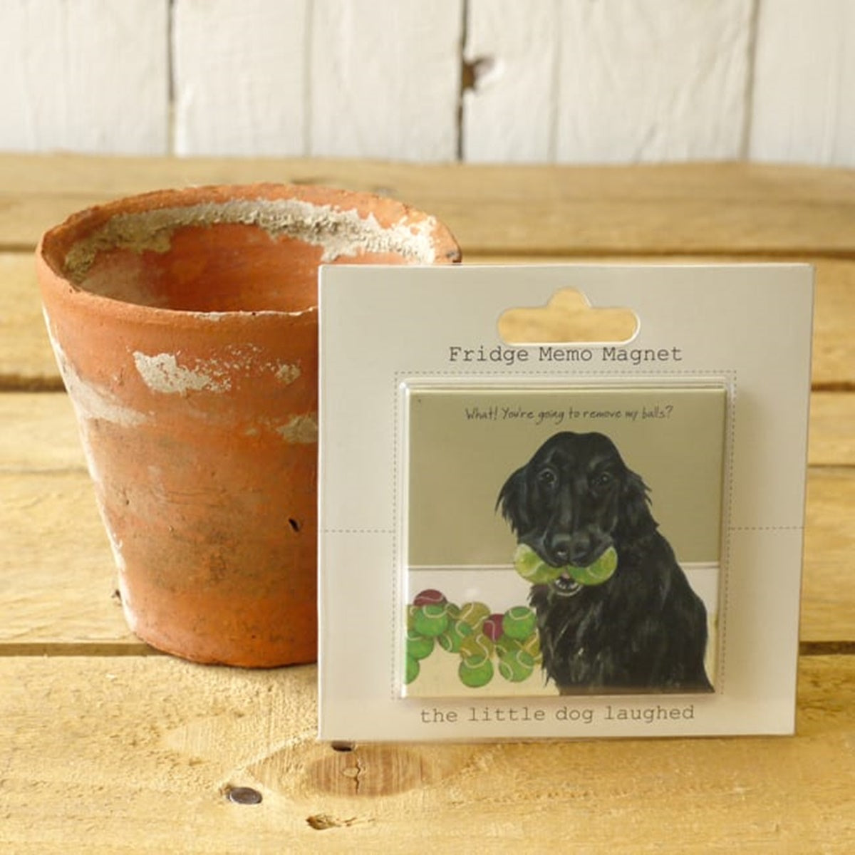 Flat Coated Retriever Magnet - Remove Balls