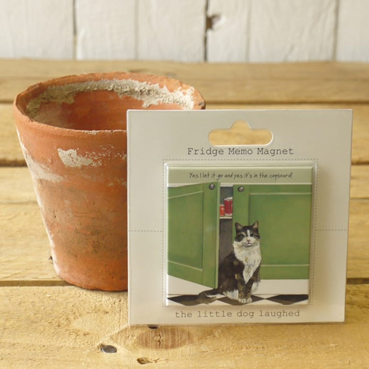 Cat Magnet - Let It Go