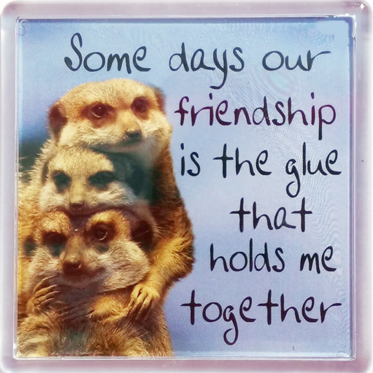History & Heraldry Sentiment Fridge Magnet - MAG-014 - Some days our Friendship