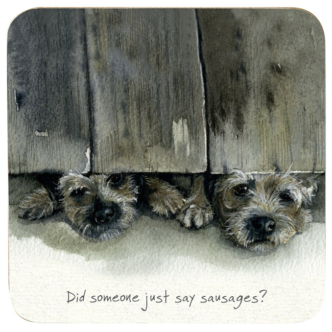 Border Terrier Dogs Coaster - Border Sausages