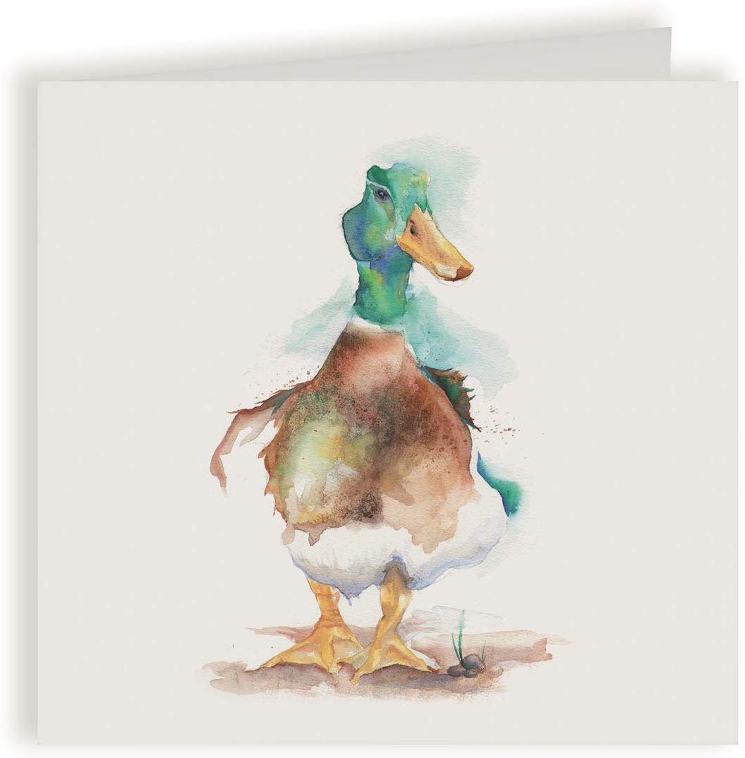 MALLARD GREETING CARD