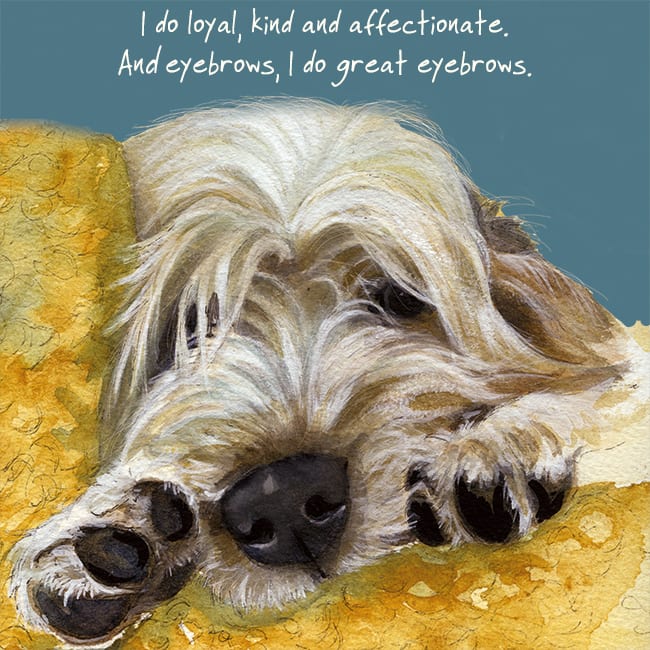 Grand Basset Griffon Vedeen Greeting Card