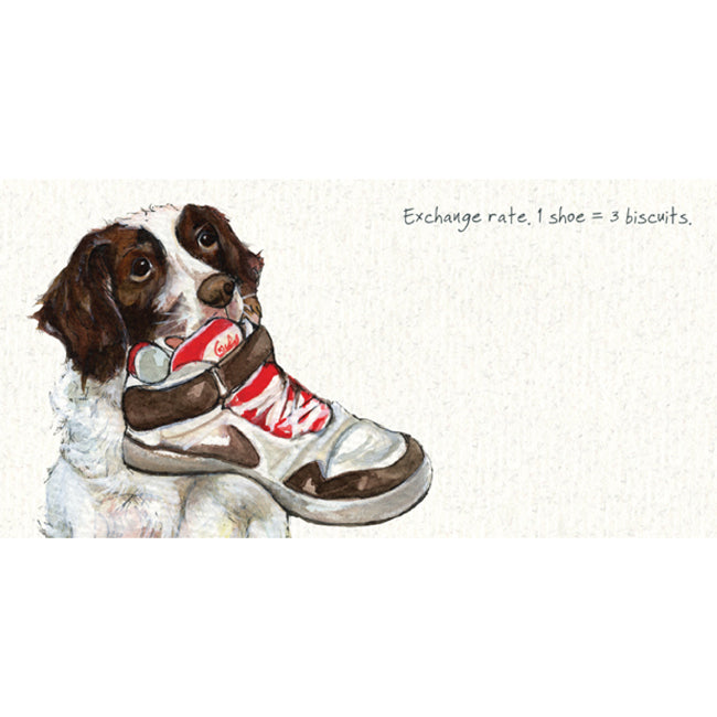 Springer Spaniel Greeting Card