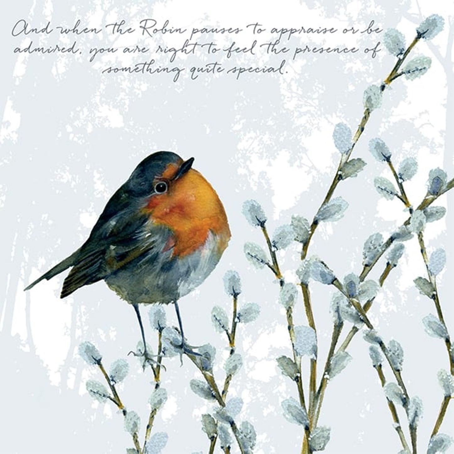 Robin Redbreast Greeting Card