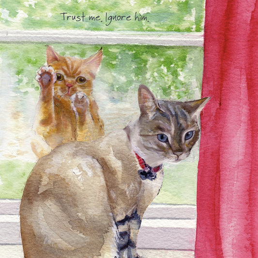 Cats Greeting Card - Window Ignore by the little dog laughed