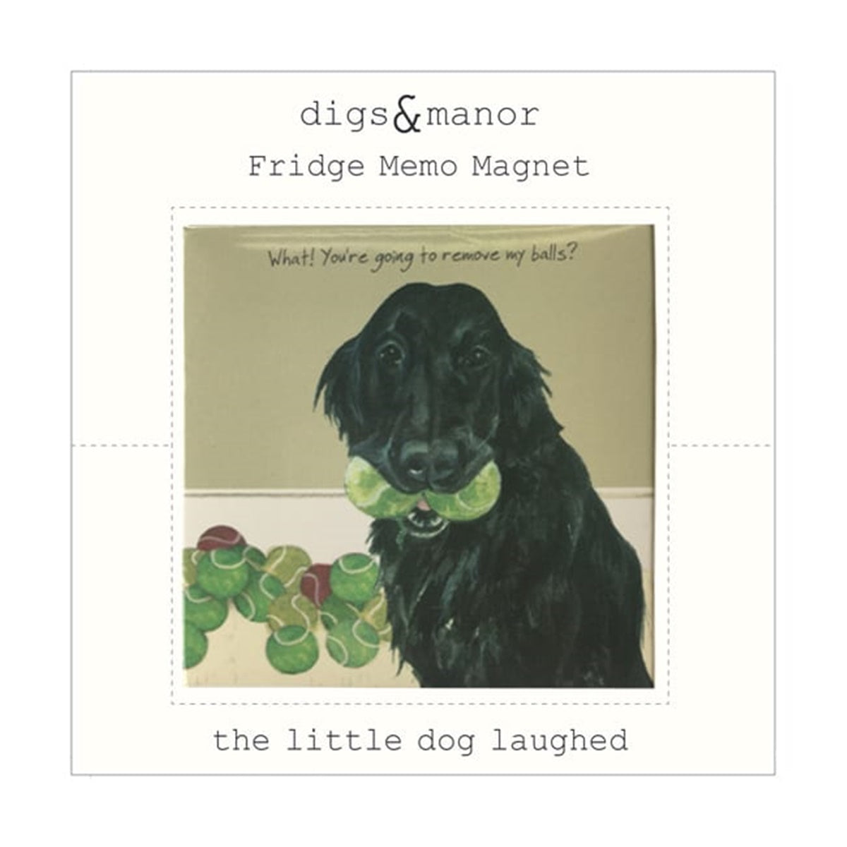 Flat Coated Retriever Magnet - Remove Balls