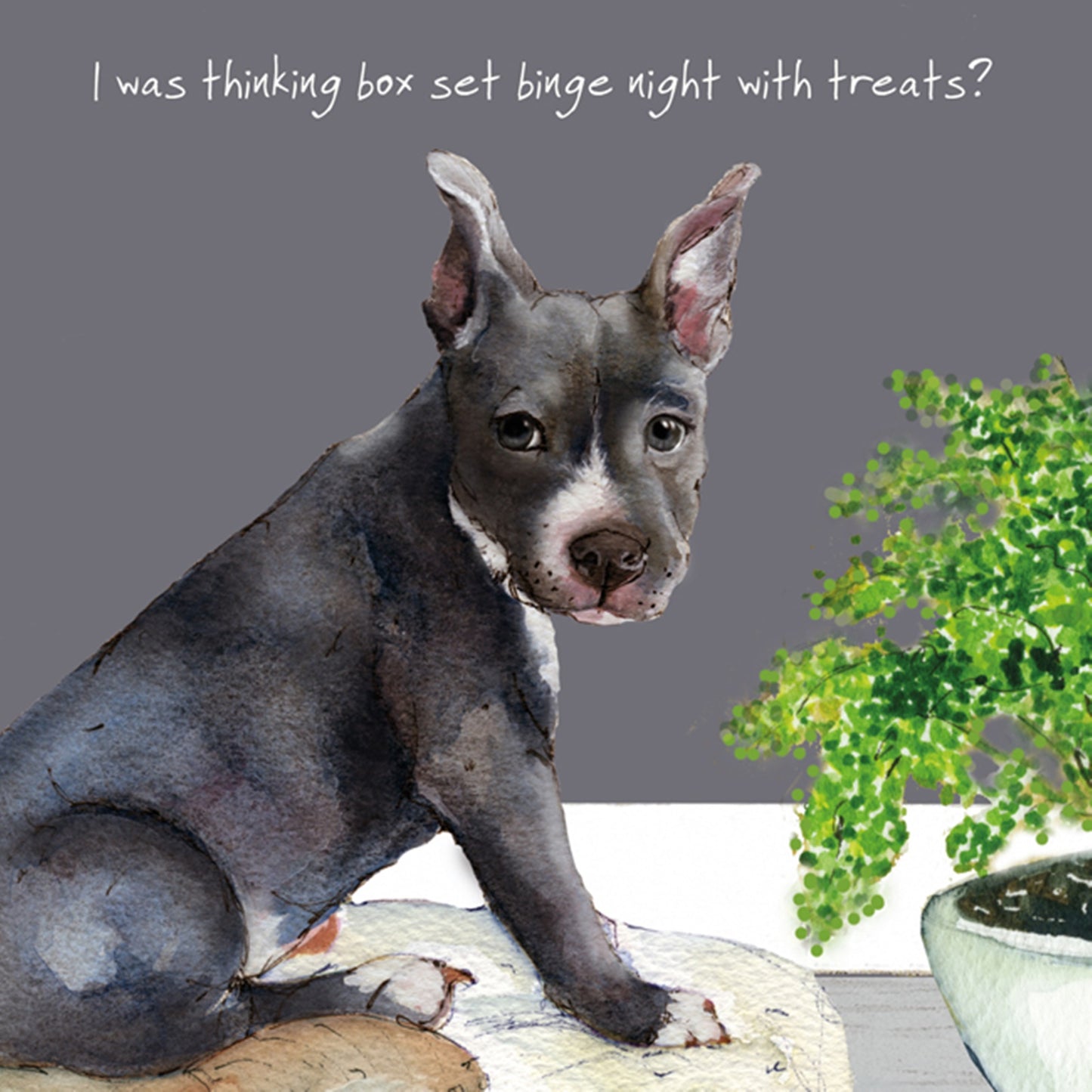 Blue Staffie Greeting Card - Box Set