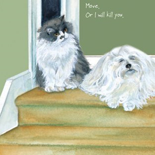 Cat & Dog Greeting Card - Kill