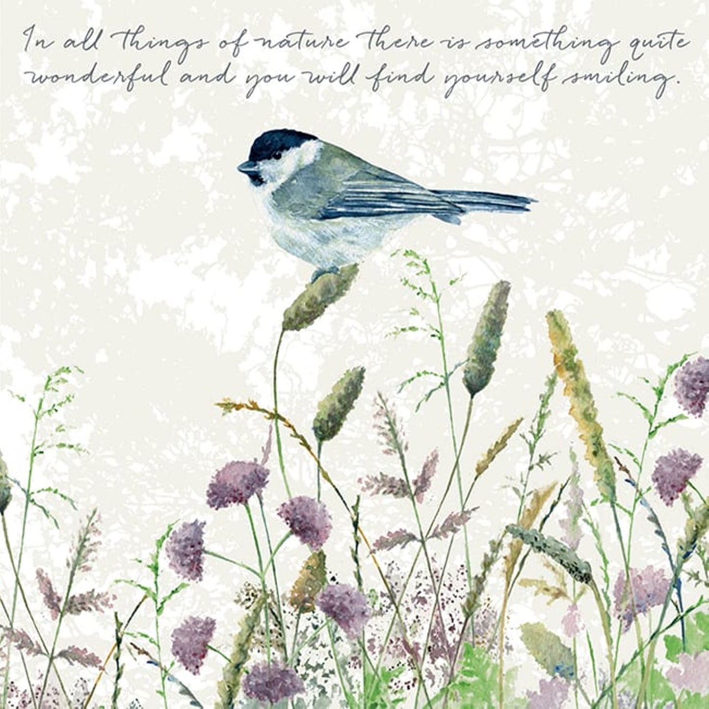 Marsh Tit Greeting Card