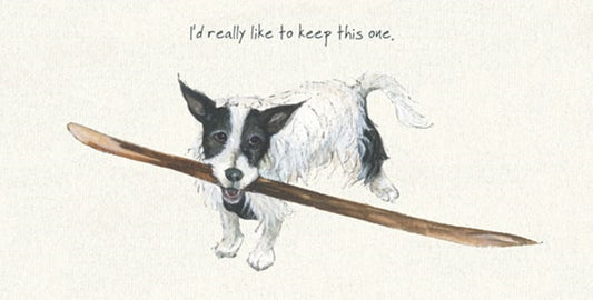 Rough Coated Jack Russell Greeting Card