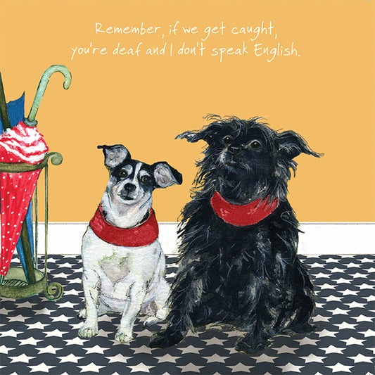 Terriers Greeting Card
