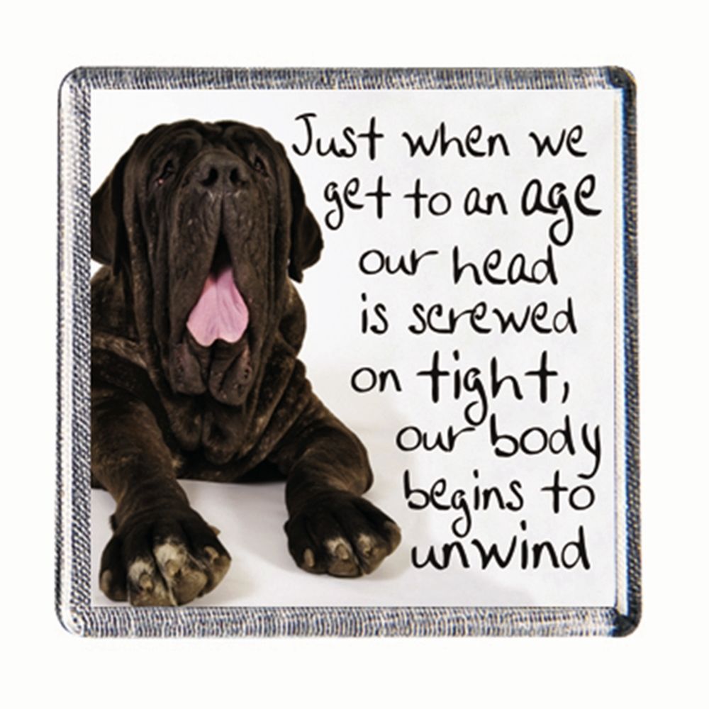 History & Heraldry Sentiment Fridge Magnet Just when we get to