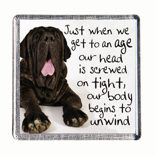 History & Heraldry Sentiment Fridge Magnet Just when we get to