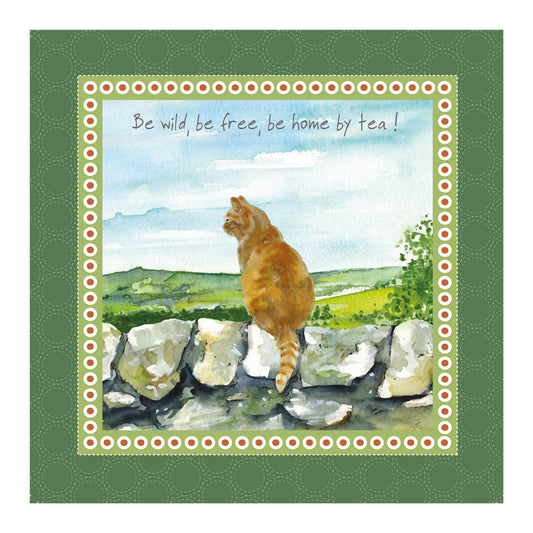 Little Dog Laughed - Ginger Cat Lens Cleaning Cloth