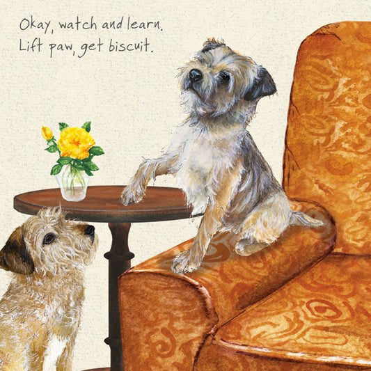 Little Dog Laughed - Border Terriers Greeting Card