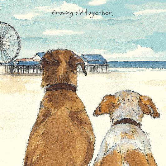 Battersea Rescue Dogs Greeting Card