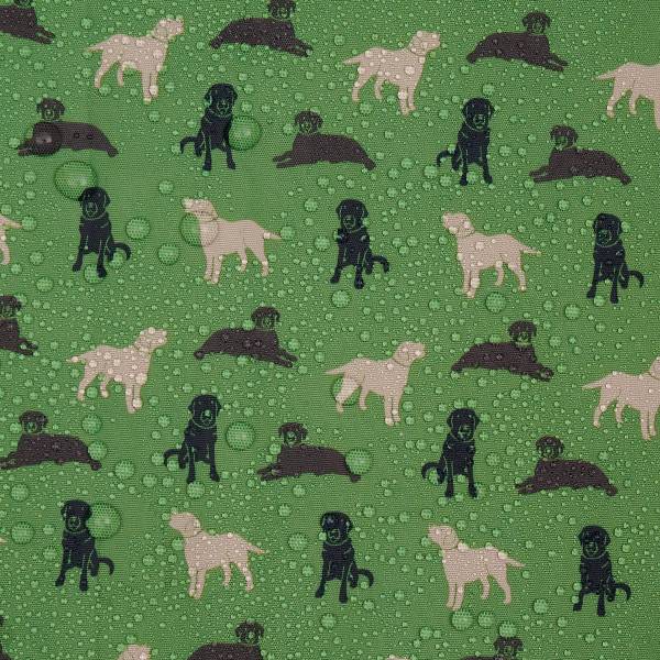 ECO CHIC Foldaway Back Pack/School Bag/Shopping Bag - Made From Recycled Plastic Bottles - Labradors (Green)
