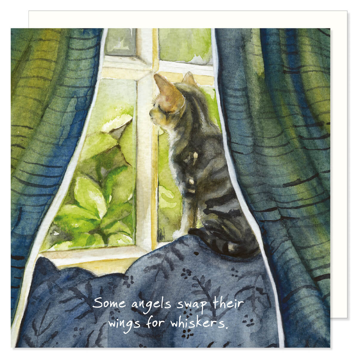 Tabby Kitten Greeting Card