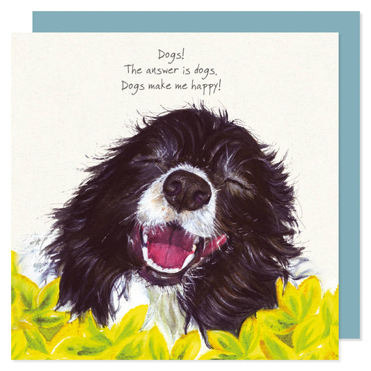 Border Collie Card