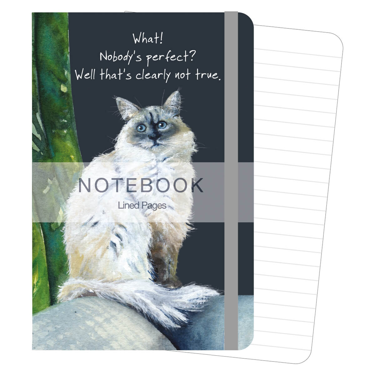 Cat Notebook - Nobody's Perfect