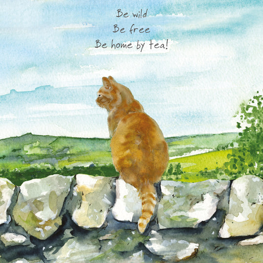Little Dog Laughed - Ginger Cat Greeting Card