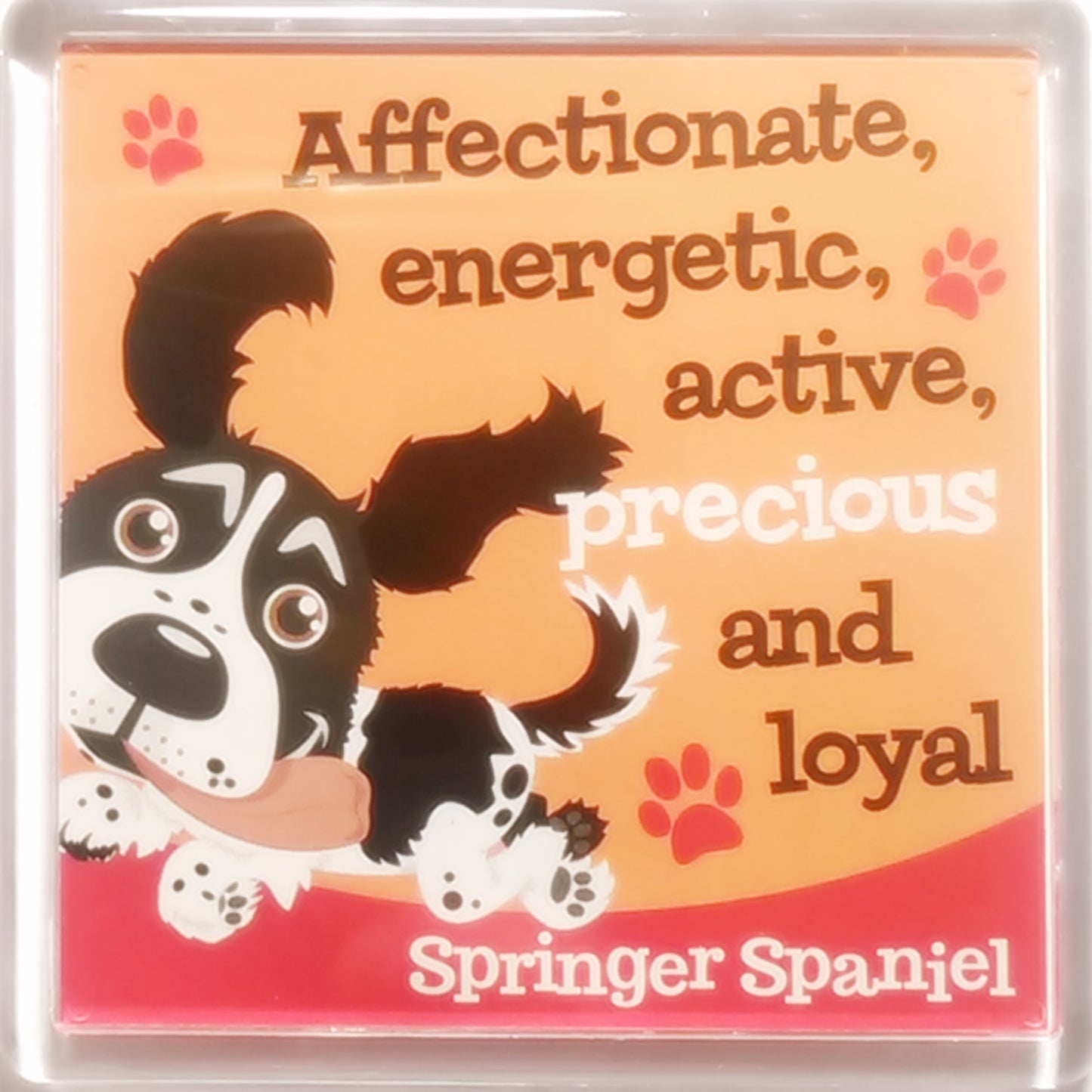 Wags & Whiskers Dog Magnet "Springer Spaniel (Black & White)" by Paper Island