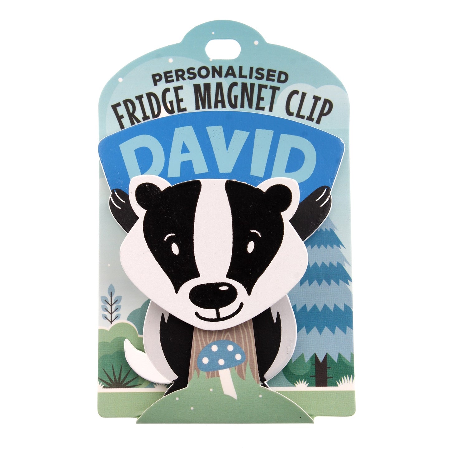 Fridge Magnet Clip David