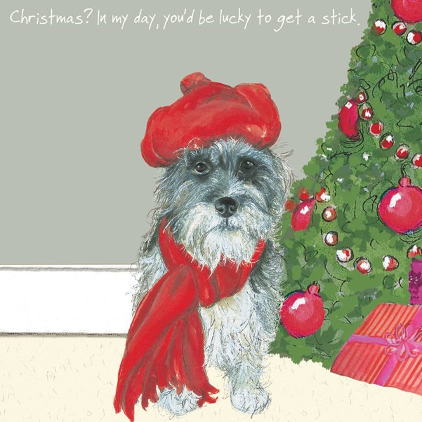 Brock the Cairn Terrier dog in a Tammy Hat Christmas Card