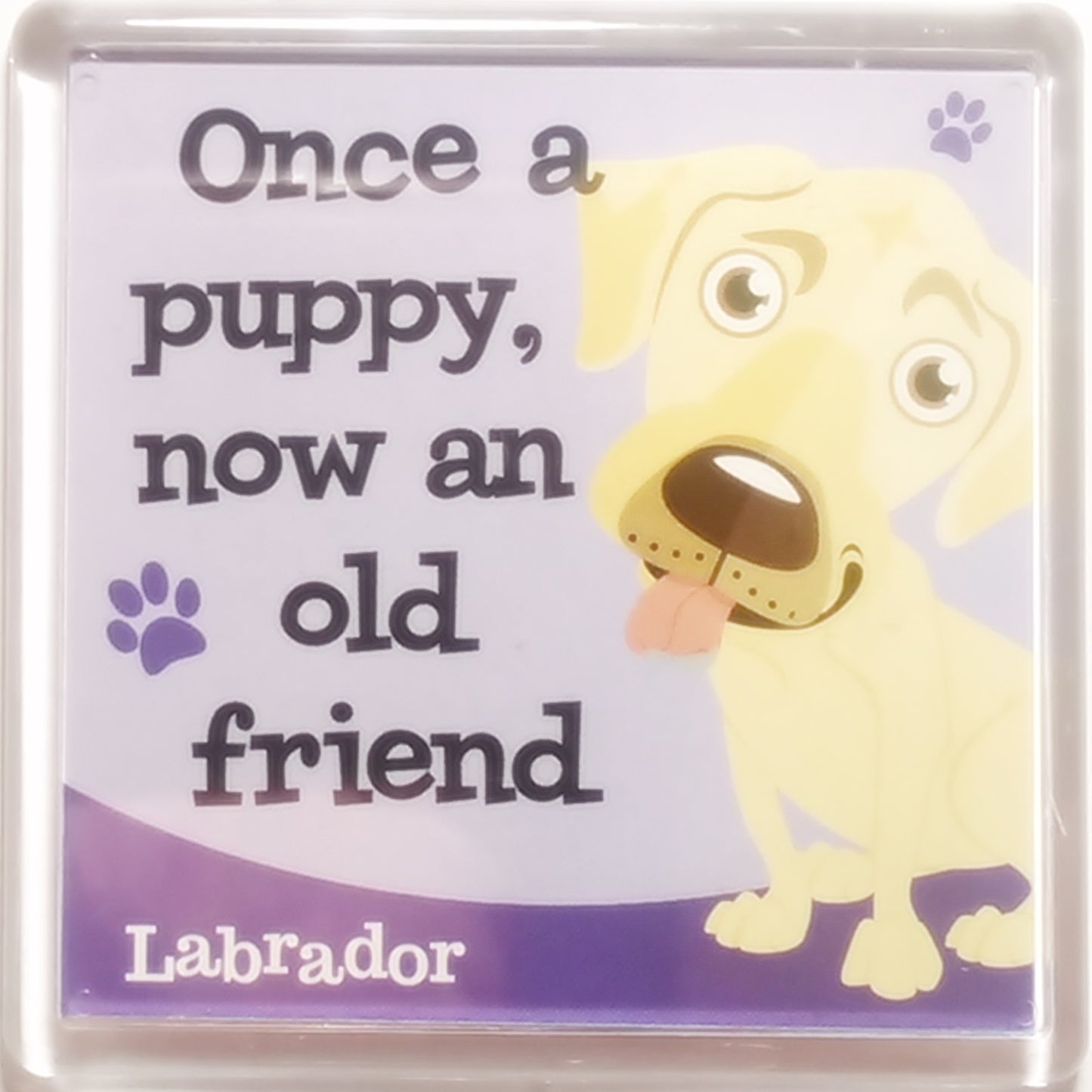 Wags & Whiskers Dog Magnet "Labrador (Cream)" by Paper Island