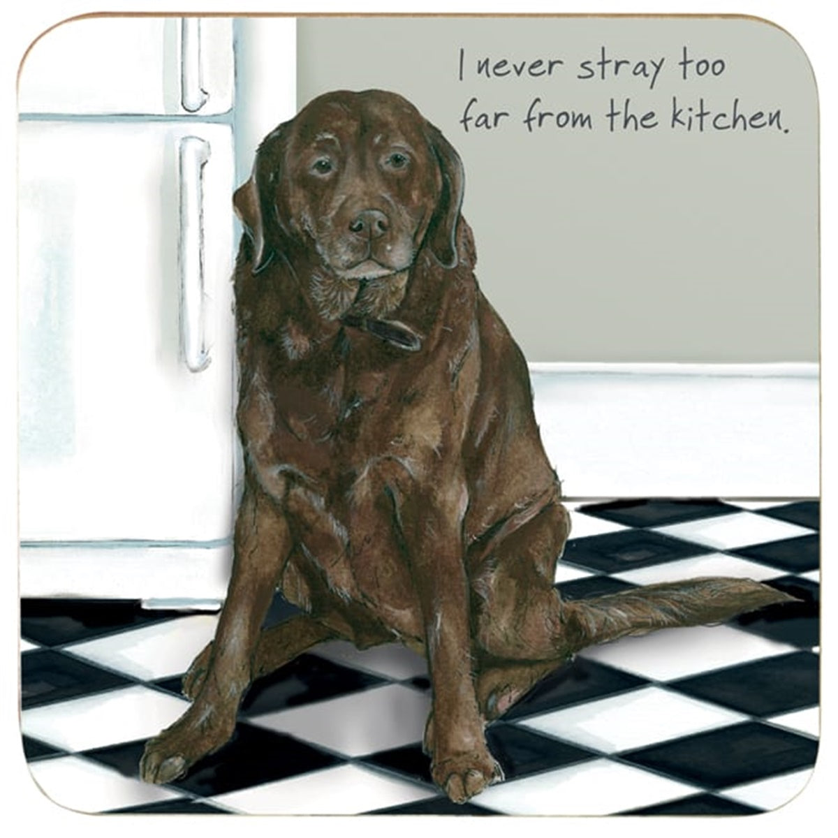 Chocolate Labrador Coaster - Fridge Stray