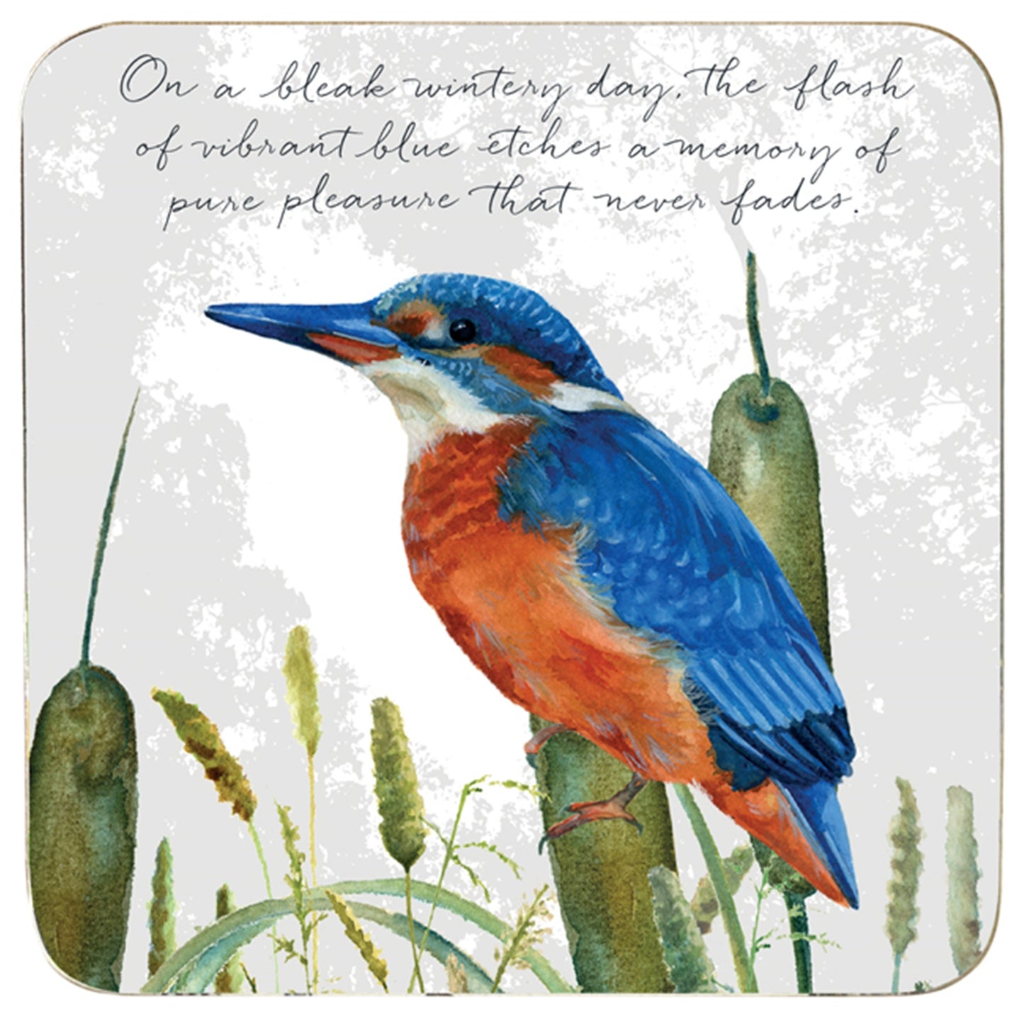 Kingfisher Coaster And a bleak wintery day,