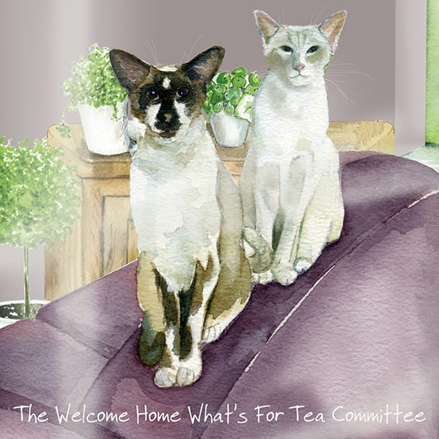 Siamese Cats Greeting Card by the little dog laughed