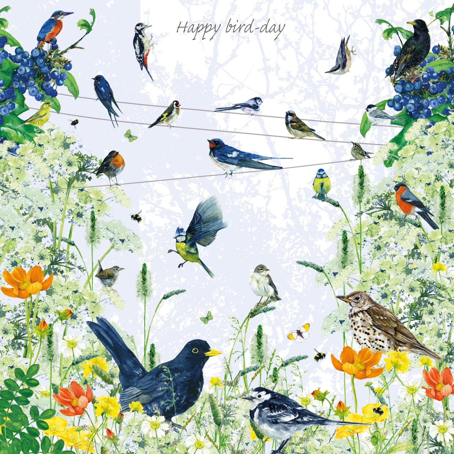 British Birds Greeting Card - Happy bird-day!
