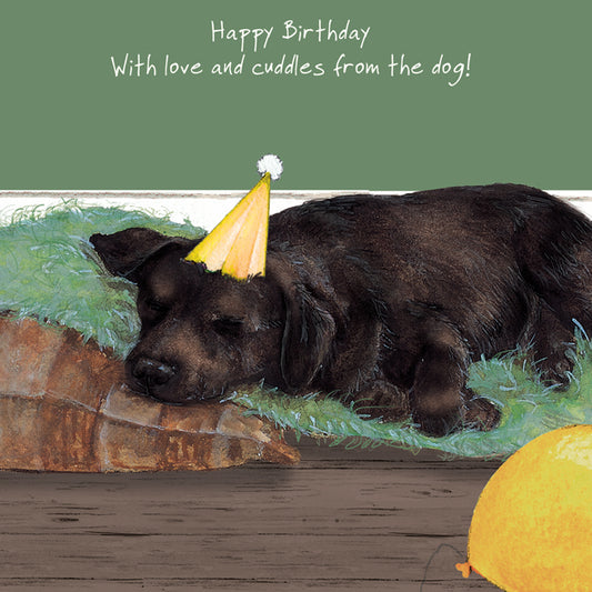 Chocolate Labrador Birthday Card