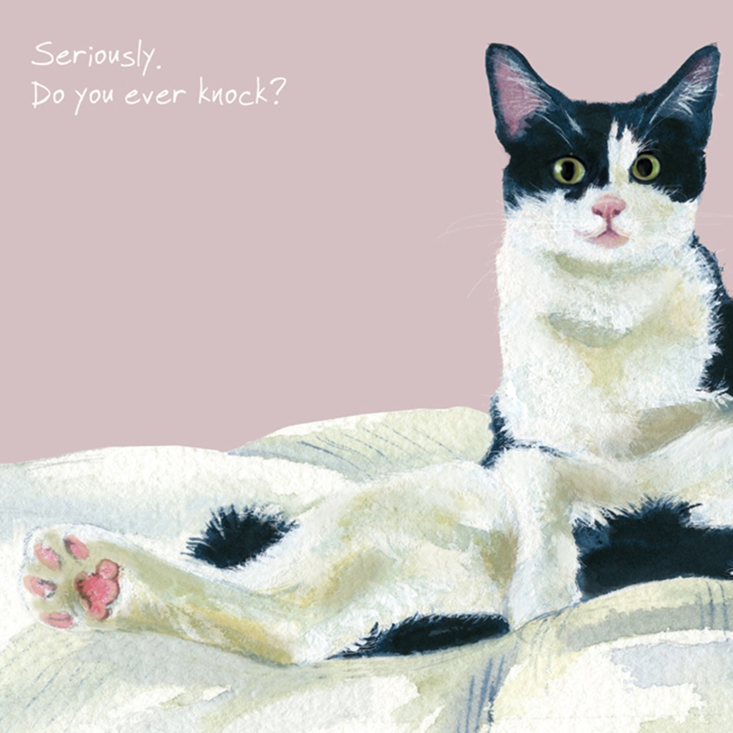White Black Cat Greeting Card - Ever Knock
