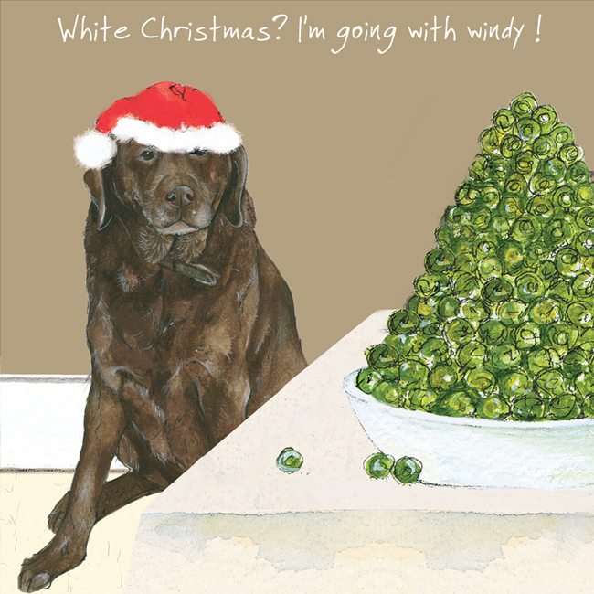 Chocolate Labrador Christmas Card - Windy Christmas