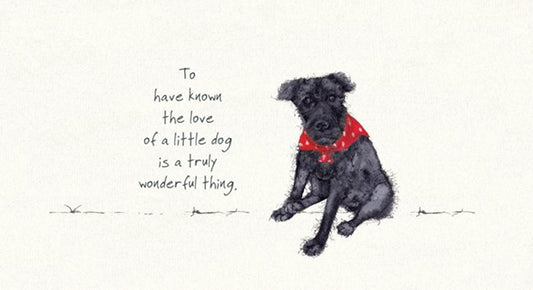 Patterdale Terrier Greeting Card by the Little Dog laughed
