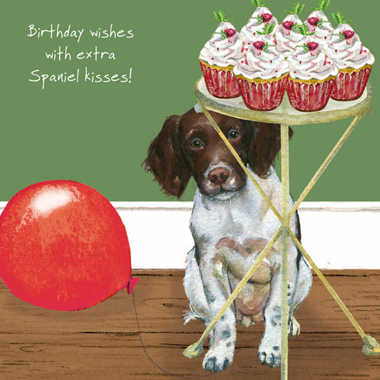 Springer Spaniel Birthday Card