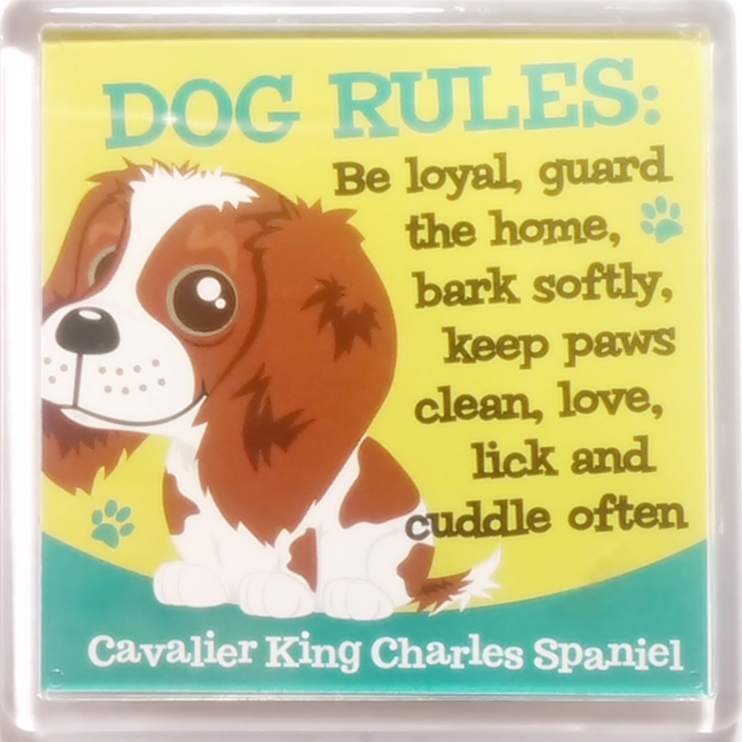 Wags & Whiskers Dog Magnet "Cavalier King Charles Spaniel" by Paper Island