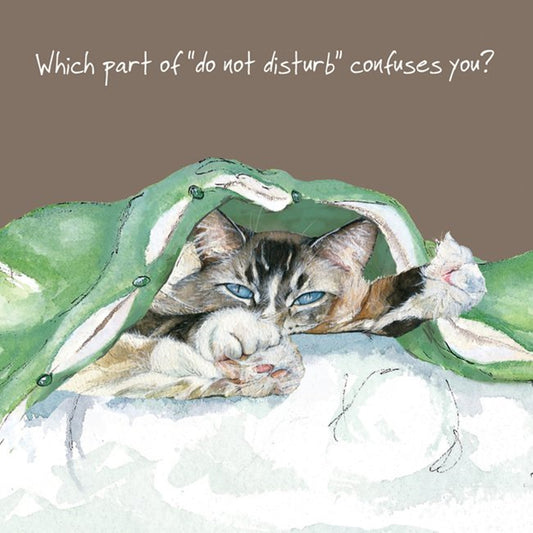 Cat Greeting Card - Confuses.