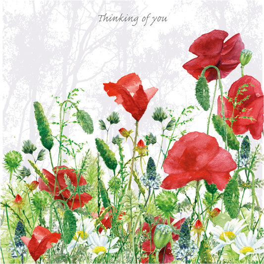 Red Poppies Greeting Card-Meadow-Little Dog Laughed